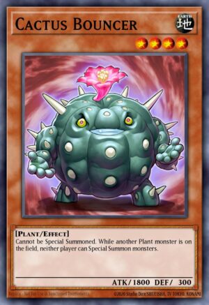 Cactus Bouncer