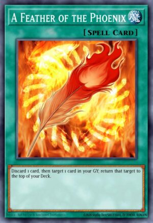 A Feather Of The Phoenix