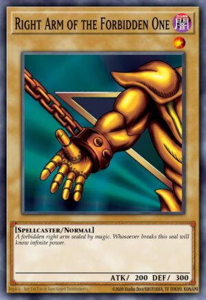 Right Leg of the Forbidden One