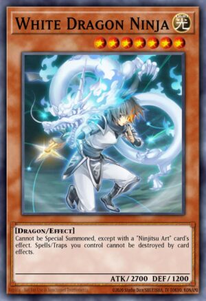 White Dragon Ninja